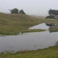IMG_0261